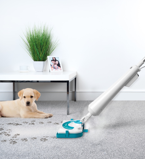 a floor steam cleaner being used to remove dog prints